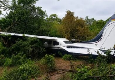 Investigan presunto narcovuelo tras el hallazgo de una avioneta accidentada en Salta