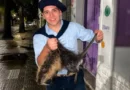 Indignación en Bahía Blanca: denuncian penalmente a dos jóvenes por matar a golpes a un coipo
