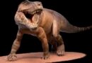 Descubren en La Rioja restos de un gigantesco depredador prehistórico emparentado con los cocodrilos