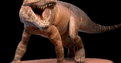 Descubren en La Rioja restos de un gigantesco depredador prehistórico emparentado con los cocodrilos