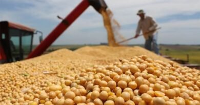Argentina endurece el control de semillas bajo presión de Estados Unidos y desata el rechazo agrícola