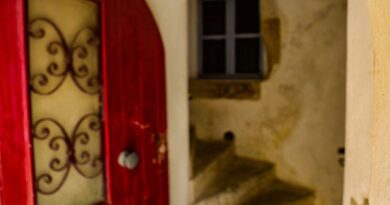Horror en Orange: Detienen a mujer tras el macabro hallazgo de cinco bebés muertos en su vivienda