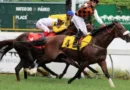 Luto en el turf brasileño: Fallece el jockey Leandro Henrique tras trágico accidente en Río de Janeiro