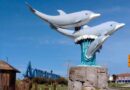 Mar del Plata: El Ex-Aquarium, Al Borde de la Quiebra, Intenta Vender Pingüinos Para Salir de la Crisis