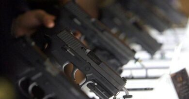 Argentina: Gobierno de Milei Reestructura el RENAR y Profundiza la Flexibilización del Mercado de Armas