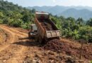 Innovación Tica: Pulpa de Café Restaura Tierras Degradadas y Triplica Vegetación en Dos Años