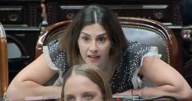 Fraude Académico en el Gobierno: Diputada Pagano Denuncia a Secretaria de Ciencia y Tecnología por Título Irregular