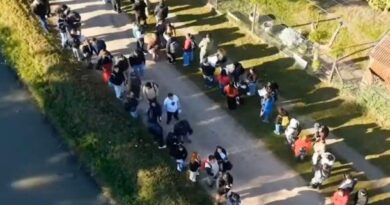 El Vértigo de la Desesperación: Filas Kilométricas en Ezeiza Exponen la Crisis Laboral Bajo la Gestión Milei